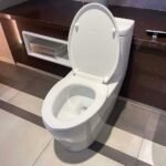 Bồn cầu CAESAR CD1364 (CD1364) 1 khối nắp êm MU234 - Ảnh 5