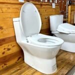 Bồn cầu CAESAR C1374F/ TAF610H (CD1374) 1 khối nắp điện tử TAF610H - Ảnh 2