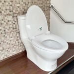 Bồn cầu CAESAR C1375 (CD1375) 1 khối nắp êm M221 - Ảnh 5