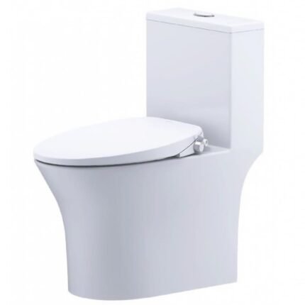 Bồn cầu CAESAR C1391F/ TAF060 (CD1391) 1 khối nắp rửa cơ TAF060