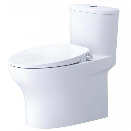 Bồn cầu CAESAR C1394F/ TAF060 (CD1394) 1 khối nắp rửa cơ TAF060