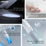 Bồn cầu điện tử CAESAR CA1389H, nắp tự động - Ảnh 10
