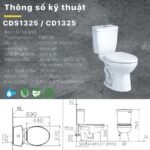 Bồn cầu CAESAR CD1325 2 khối nắp thường M220 - Ảnh 9