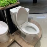 Bồn cầu CAESAR CD1325 2 khối nắp thường M220 - Ảnh 4