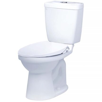 Bồn cầu CAESAR CD1325 2 khối nắp rửa cơ TAF060