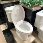 Bồn cầu CAESAR CPT1332 2 khối nắp thường M220, xả gạt, thoát ngang - Ảnh 3