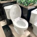 Bồn cầu CAESAR CPT1332 2 khối nắp thường M220, xả gạt, thoát ngang - Ảnh 4