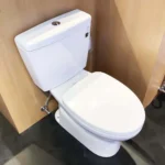 Bồn cầu TOTO CS300DRT3#W hai khối nắp êm TC385VS - Ảnh 3