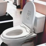 Bàn cầu TOTO CS302DE2#W 2 khối nắp êm TCW07S - Ảnh 2
