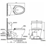 Bồn cầu TOTO CS767CRW23#XW 2 khối (Giấu dây), nắp điện tử TCF47360GAA - Ảnh 10