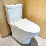 Bồn cầu TOTO CS769DRT8#XW 2 khối nắp êm TC600VS - Ảnh 3