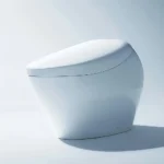 Bồn cầu TOTO CS901KVT#NW1/ T53P100VR NEOREST NX II - Ảnh 10