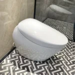Bồn cầu TOTO CS900KVT#NW1/ T53P100VR NEOREST NX I - Ảnh 2