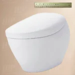 Bồn cầu TOTO CS901KVT#NW1/ T53P100VR NEOREST NX II