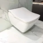 Nắp bồn cầu WASHLET TOTO TCF803CZ#NW1 dòng SW - Ảnh 2