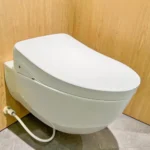 Nắp bồn cầu WASHLET TOTO W12