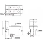 Bồn cầu TOTO CW895JW/F#W 1 khối nắp êm TC880SJ - Ảnh 3
