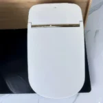 Bồn cầu TOTO CW993VA#NW1/TCF993WA/ T53P100VR NEOREST XHII - Ảnh 2