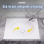 Chậu rửa mặt lavabo CAESAR LF5038 dương vành (bao gồm ống xả và nắp sứ) - Ảnh 5