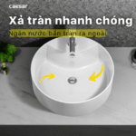 Chậu rửa mặt lavabo CAESAR LF5240 đặt bàn - Ảnh 6