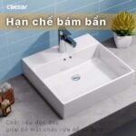 Chậu rửa mặt lavabo CAESAR LF5263 đặt bàn - Ảnh 3