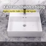 Chậu rửa mặt lavabo CAESAR LF5263 đặt bàn - Ảnh 2