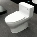 Bồn cầu TOTO MS188VKT8#XW/ T53P100VR 1 khối nắp êm TC600VS - Ảnh 5