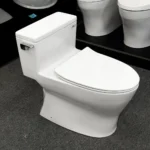 Bồn cầu TOTO MS188VKT8#XW/ T53P100VR 1 khối nắp êm TC600VS - Ảnh 4