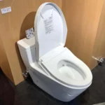 Bồn cầu TOTO MS625DW11#XW 1 khối, nắp điện tử TCF4911Z - Ảnh 6
