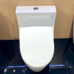 Bồn cầu TOTO MS625CDW23#XW 1 khối (Giấu dây), nắp điện tử TCF47360GAA - Ảnh 3