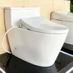 Bồn cầu TOTO MS625DE4#XW 1 khối nắp rửa cơ TCW1211A - Ảnh 2