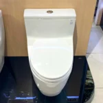 Bồn cầu TOTO MS625DT2#XW 1 khối nắp êm TC393VS - Ảnh 3