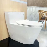 Bồn cầu TOTO MS625DT8#XW 1 khối nắp êm TC600VS - Ảnh 2