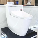 Bồn cầu TOTO MS636CDRW23#XW 1 khối (Giấu dây), nắp điện tử TCF47360GAA - Ảnh 4