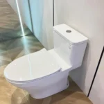 Bồn cầu TOTO MS857DT8#XW 1 khối nắp êm TC600VS - Ảnh 4