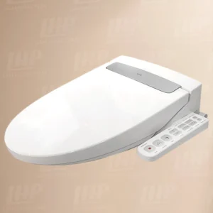 Nắp bồn cầu INAX CW-H20VN