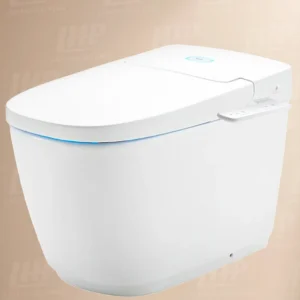 Bồn cầu Inax AC-816VN