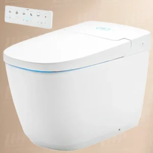 Bồn cầu Inax AC-819VN