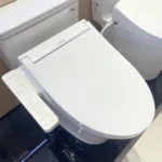 Nắp bồn cầu WASHLET TOTO W16