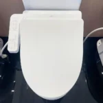 Nắp bồn cầu WASHLET TOTO W18