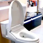 Nắp bồn cầu WASHLET TOTO W14