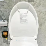 Nắp bồn cầu WASHLET TOTO W12