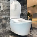 Nắp bồn cầu WASHLET TOTO TCF795C2Z#NW1 dòng RX - Ảnh 3