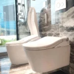 Nắp bồn cầu WASHLET TOTO TCF802C2Z#NW1 dòng RW - Ảnh 2