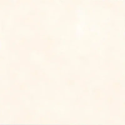 Gạch 60x60 6B011_010A