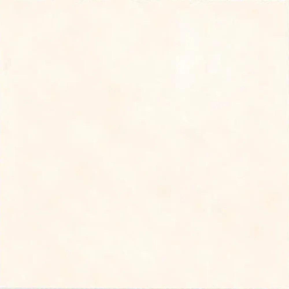 TL606B011.webp Gạch 60x60 6B011_010A - Ảnh 1