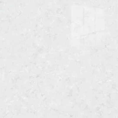 Gạch 60x60 6C005_010A