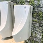 Bồn tiểu nam CAESAR U0232 treo tường, cấp nước trên, thoát ngang - Ảnh 3