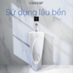 Bồn tiểu nam CAESAR U0239 đặt sàn, thoát sàn - Ảnh 7