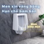 Bồn tiểu nam CAESAR U0240 treo tường, thoát ngang - Ảnh 7